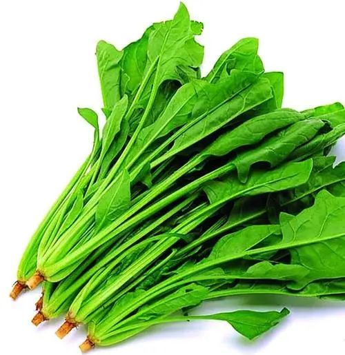 CHINESE SPINACH BAG / BOCAI