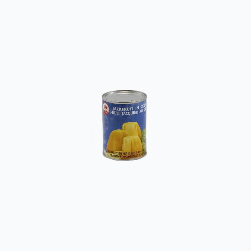 AROY-D JACKFRUITIN SYRUP 565G