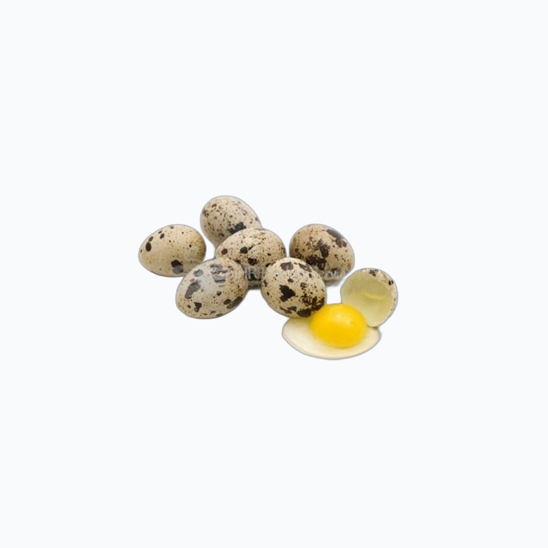 鹌鹑蛋