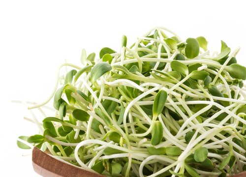 GREEN BEANSPROUT / LDY