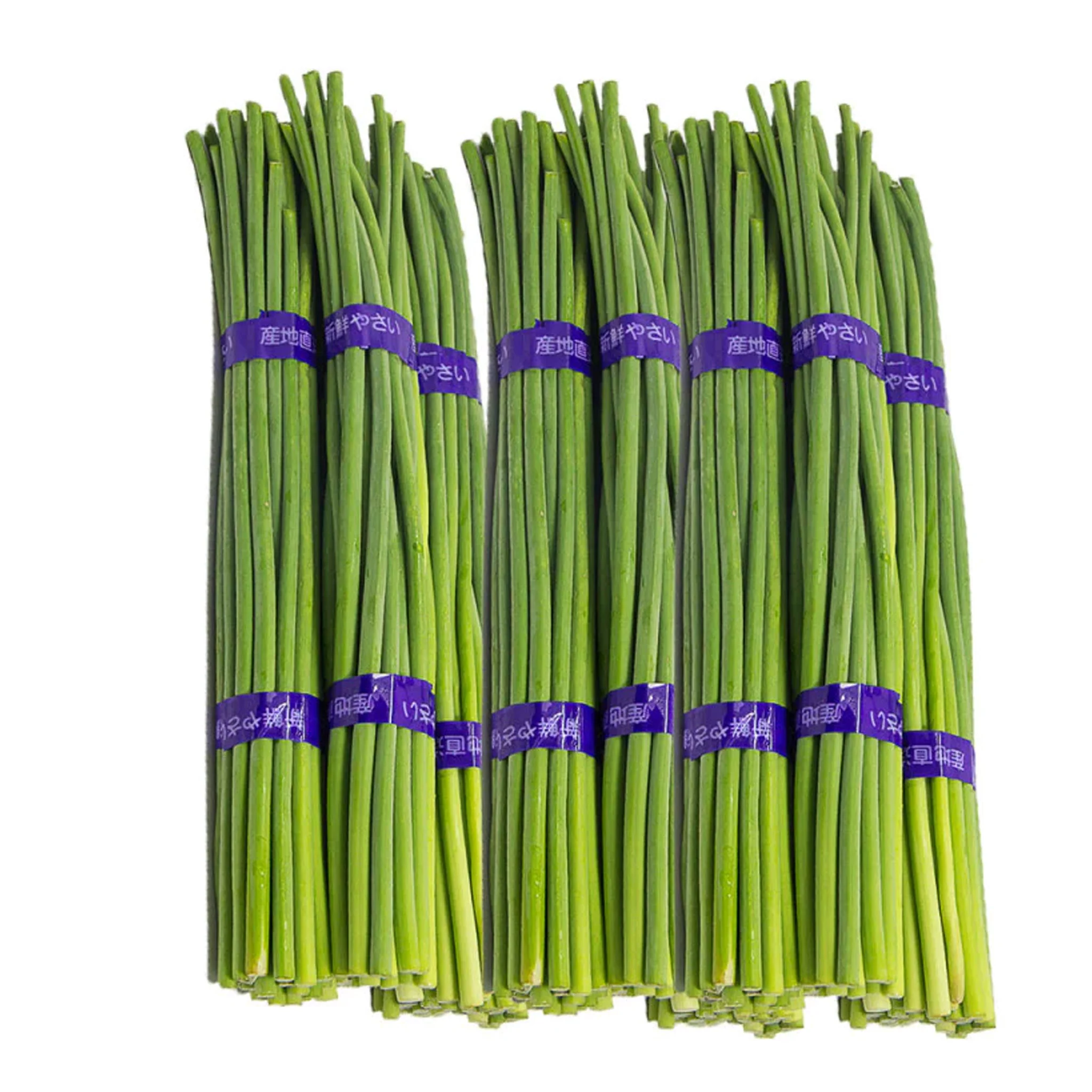 GARLIC MOSS / SUANTAI