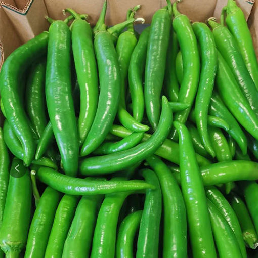 CHINESE GREEN CHILLI MEDIUM