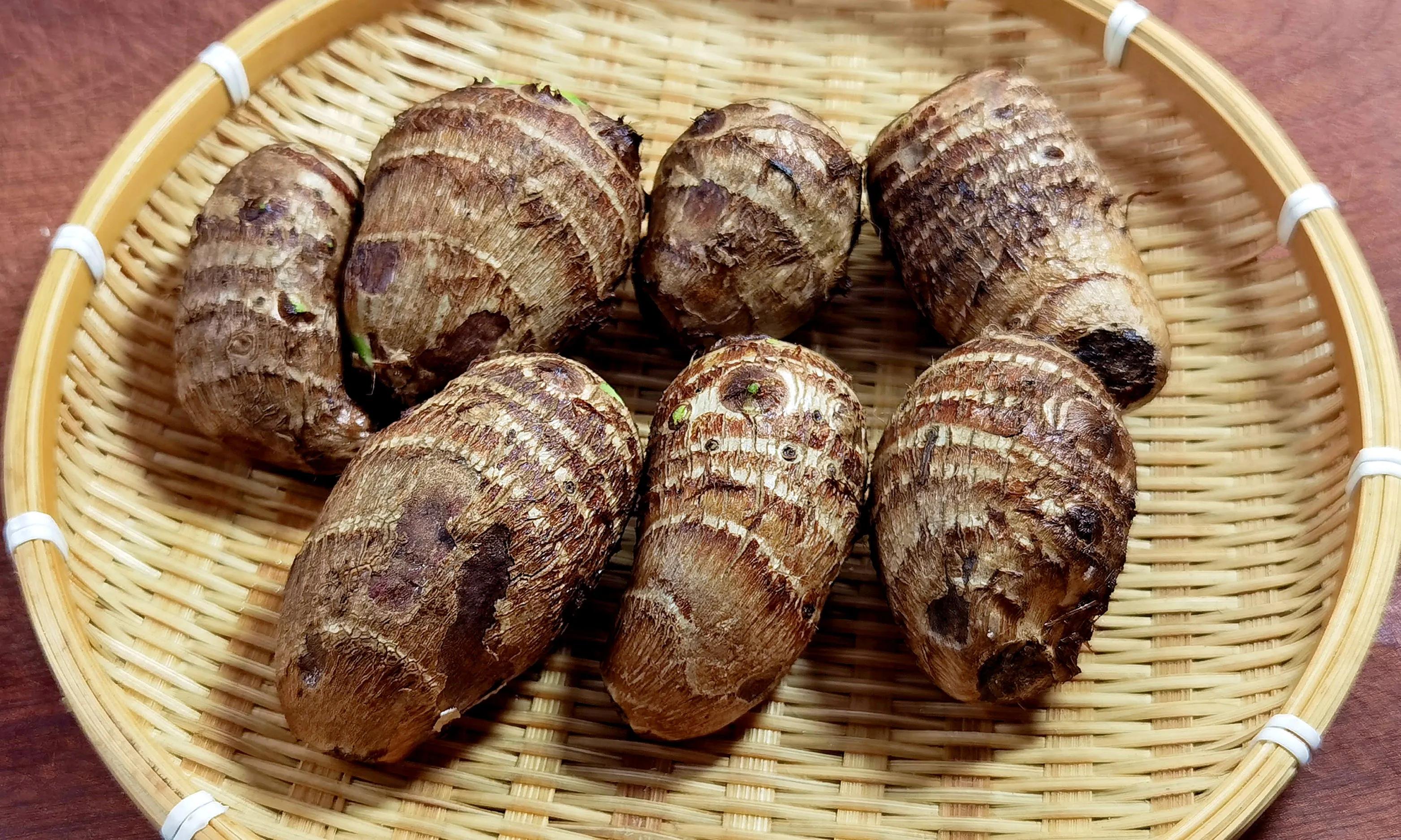 FRESH TARO / YUTOU
