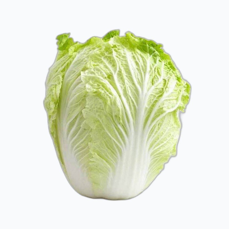 CHINESE CABBAGE DBC