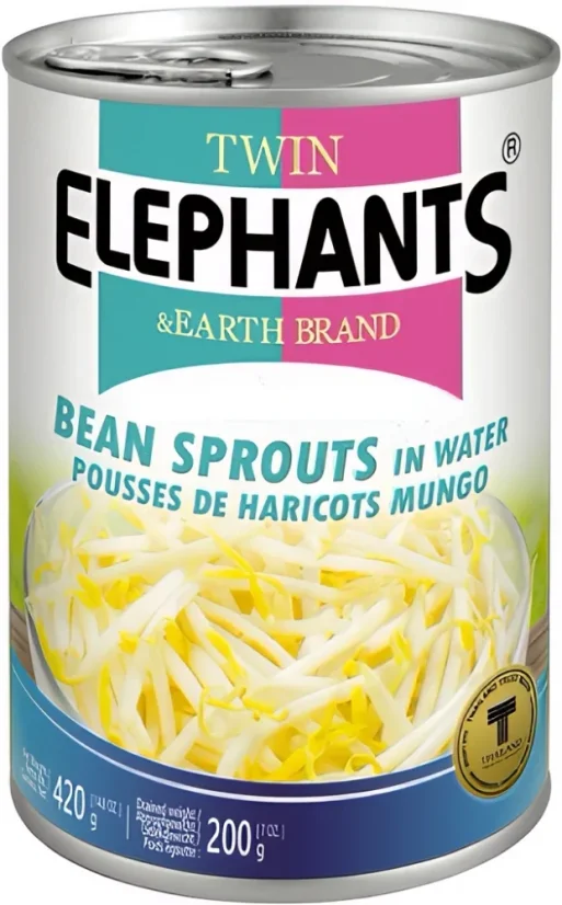 TWIN ELEPHANTS BEANSPROUT IN WATER  420G