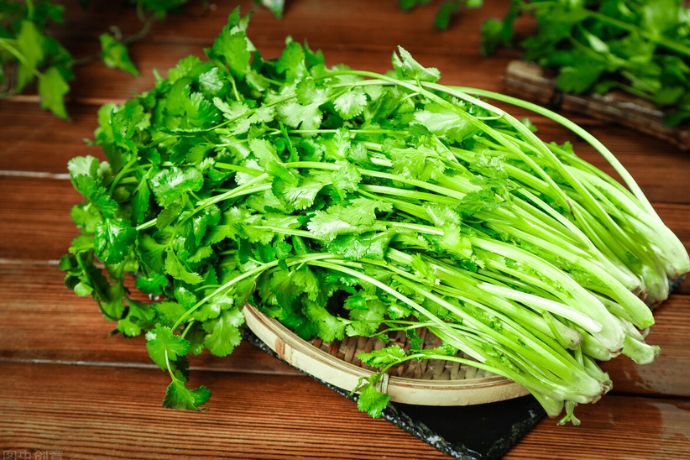 CHINESE CORIANDER BAG XIANGCAI