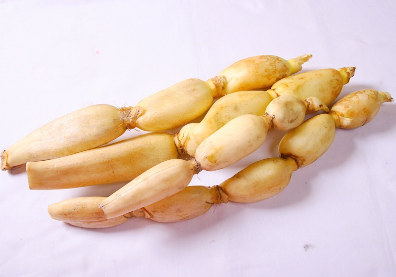 FRESH LOTUS / LIANOU